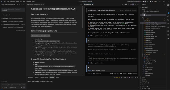 OpenCode/AntiGravity...