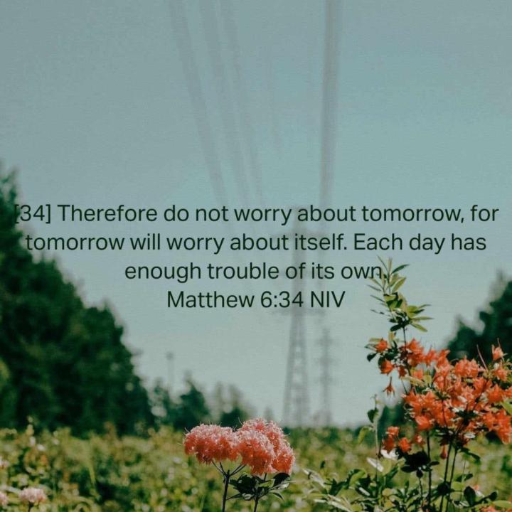 John Dominique F Gamazon