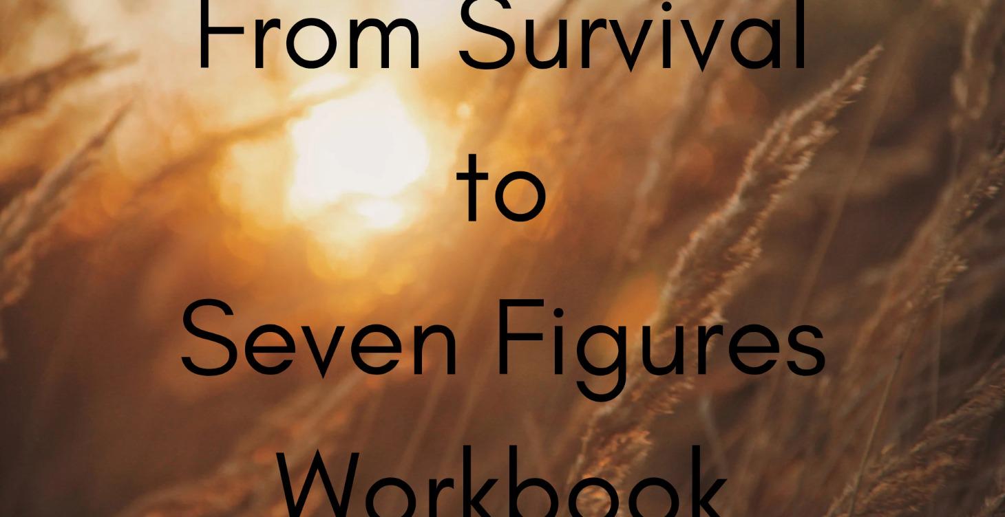 From Survival to Seven Figures Workbook