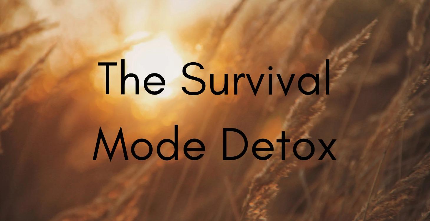 The Survival Mode Detox
