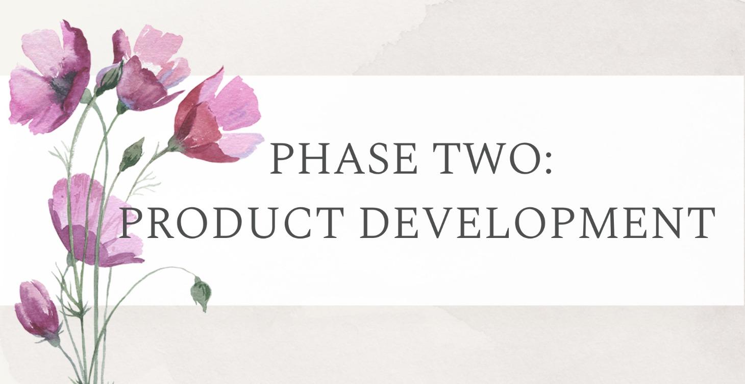 Phase 2: Product Development