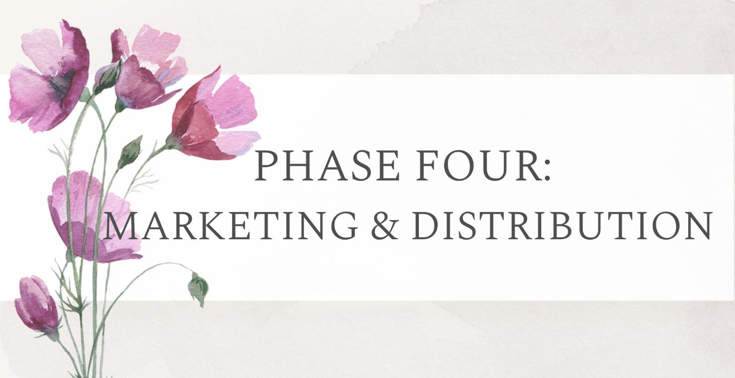 Phase 4: Marketing and Distribution Strategies