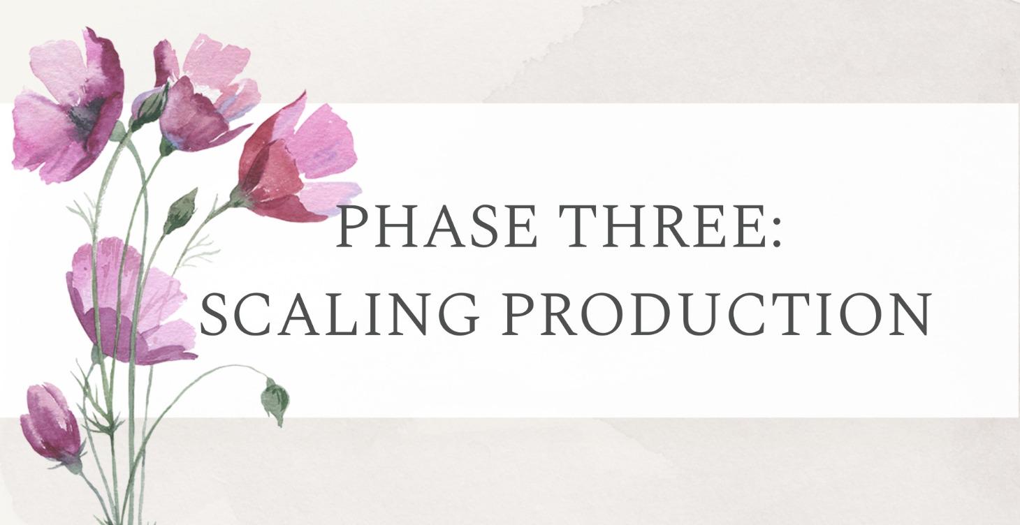 Phase 3: Scaling Your Production