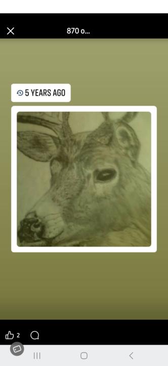 Not too bad for a Novice!