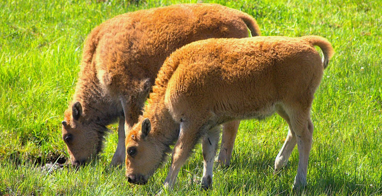 90 Days at your new Job