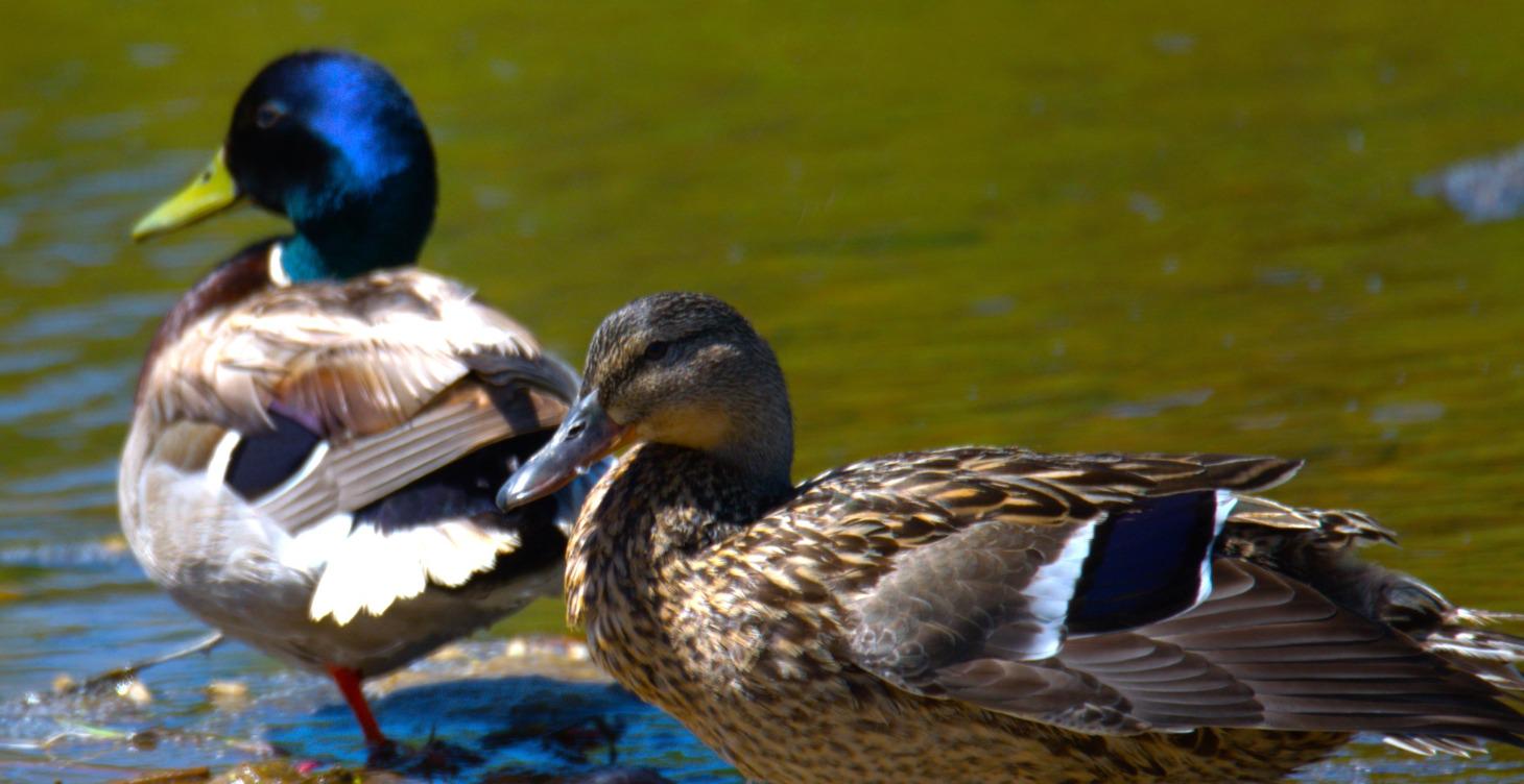 Going above and beyond