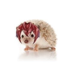 Luciana García Ramírez