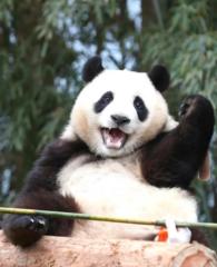 Hsu Shihting