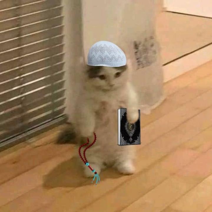Raeen Baqeri