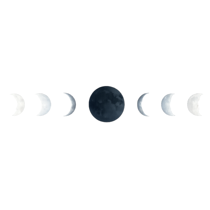 🌑 New Moon Reflection