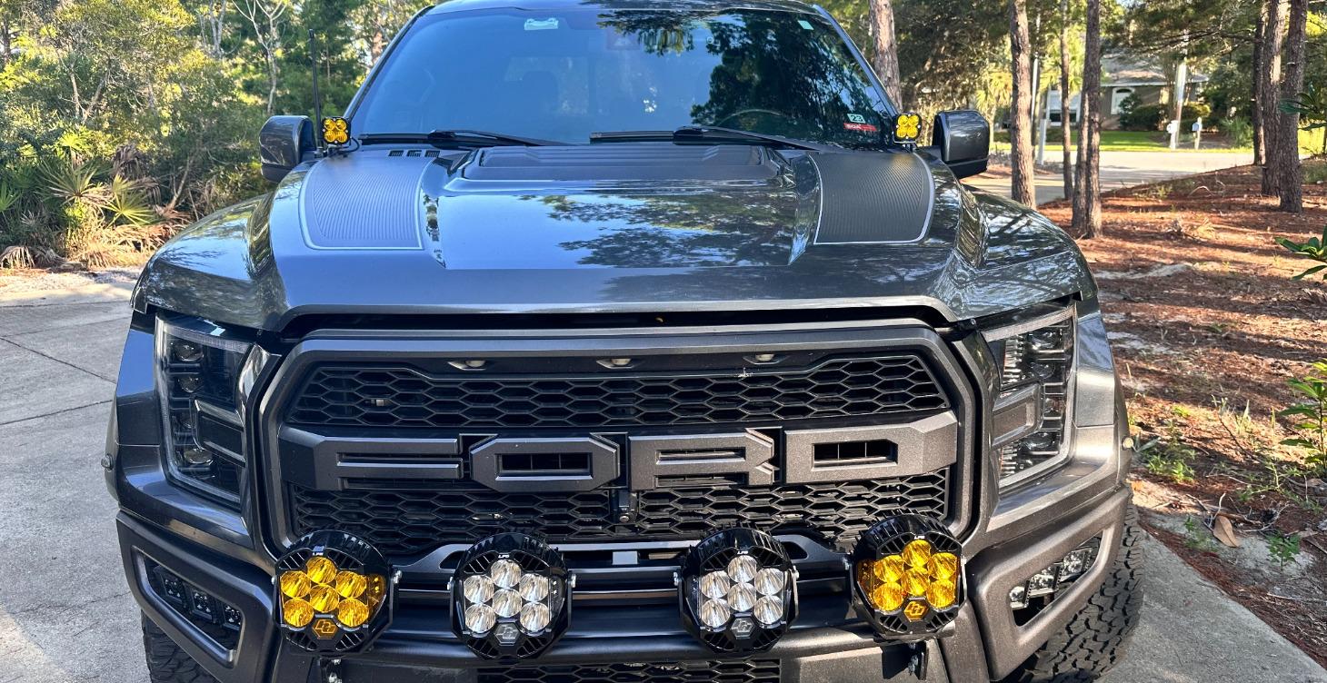 Introduce Yourself & Your Raptor