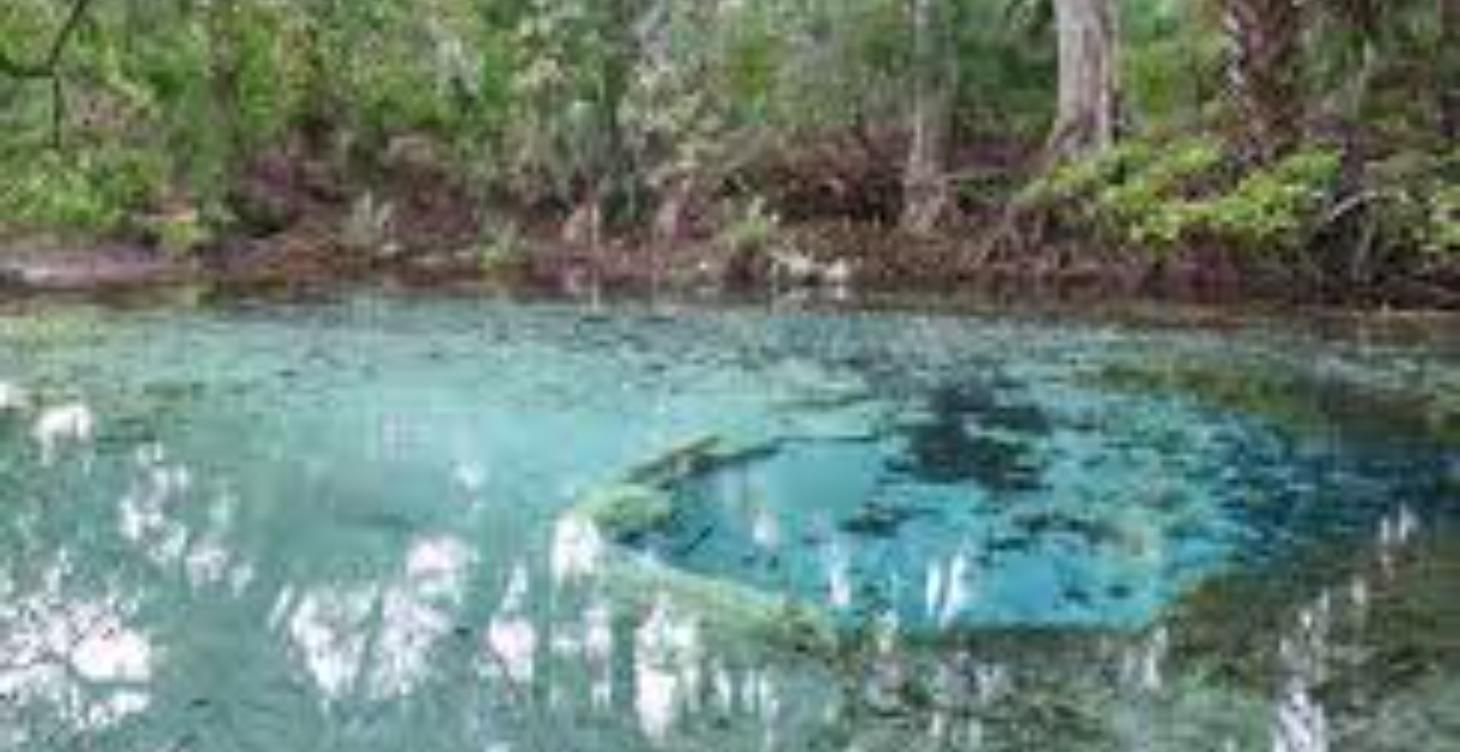 Florida Adventure Guide