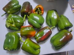 Alejandro Tuya Fernandez