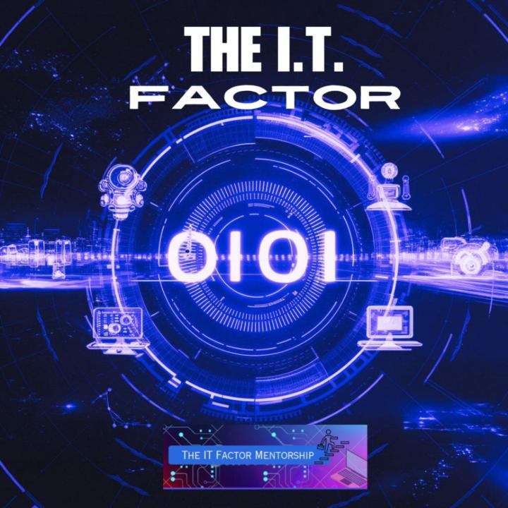 The IT Factor Mentorship