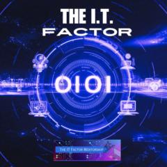 The IT Factor Mentorship