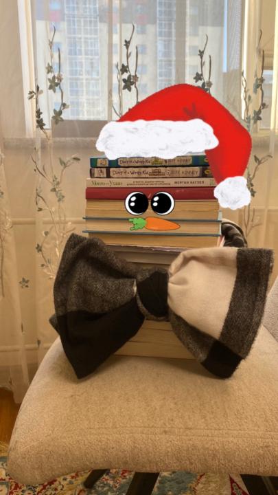 Dulamsuren Ulaanbandi