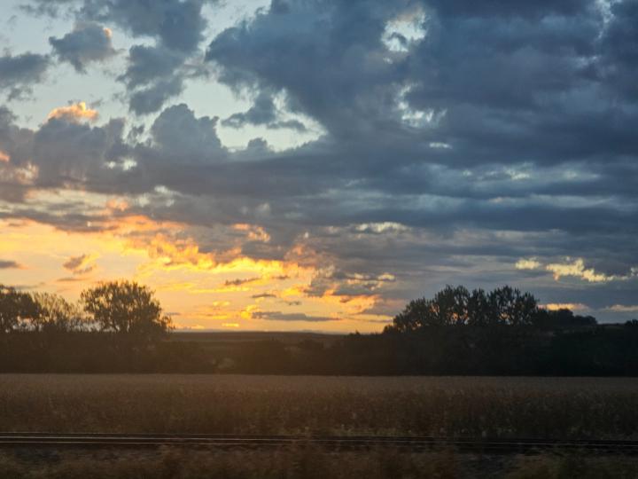 Laura Gross-Schneider