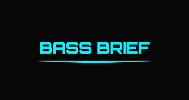 Bass Brief