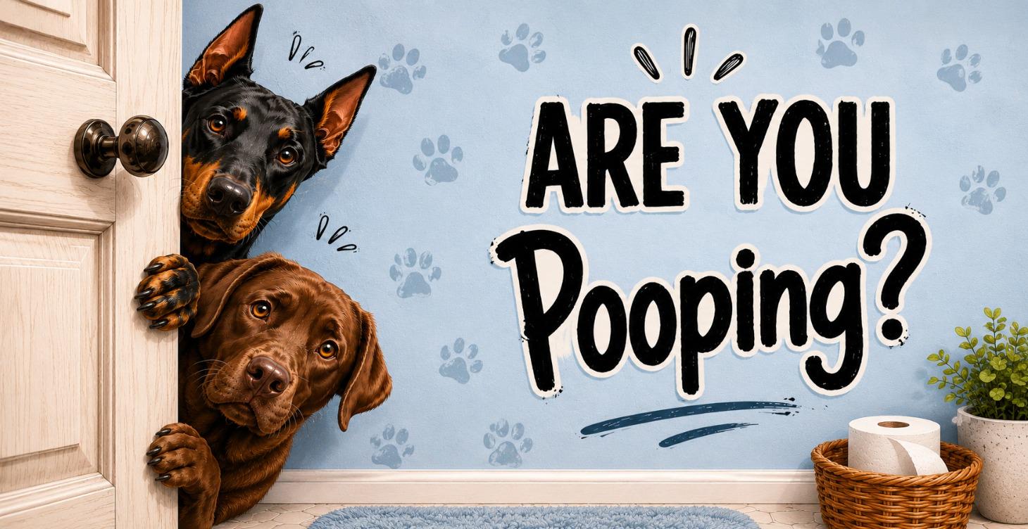 Fur Baby Meme Lab