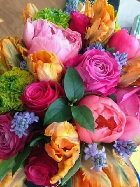 Велян Ванков