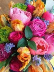 Велян Ванков