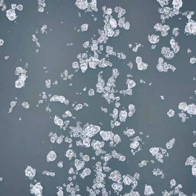 Agnieszka Waliszewska