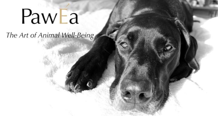 PawÉa