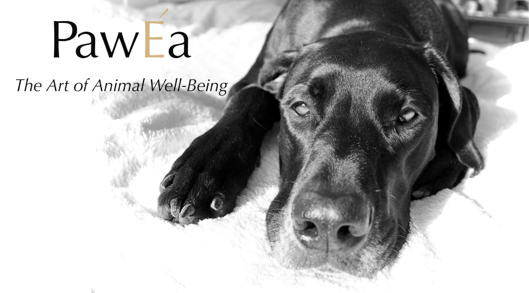 PawÉa