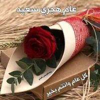 آلاء عطار