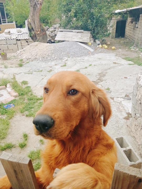 Saludos desde México 