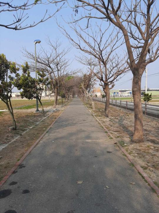韋辰 林