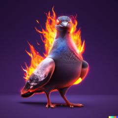 Pigeon L