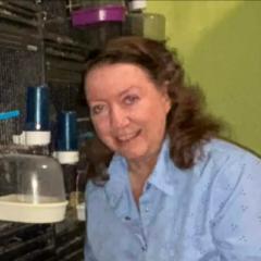 Debbie Stout
