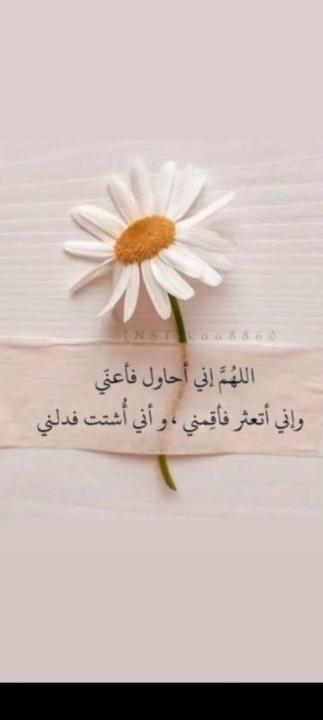 Abdoulah Younes
