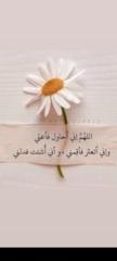 Abdoulah Younes