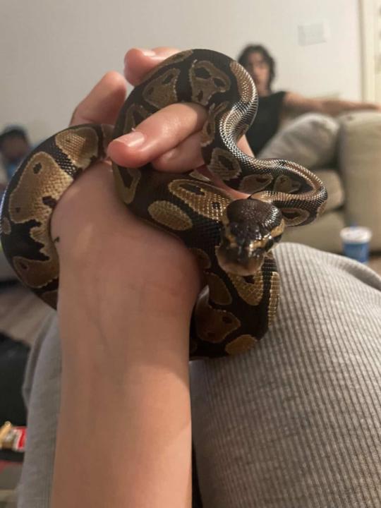 New member of the fam