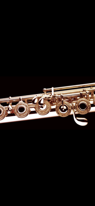 Who knows what brand of flute this is?