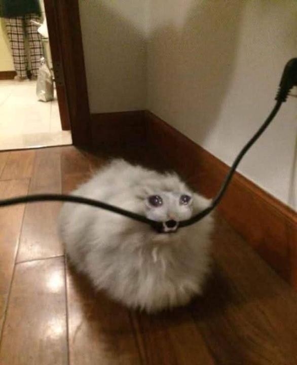 吳 瑞