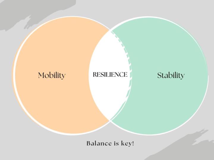 Why 9 Times Out of 10 Mobility Will Always Trump Stability