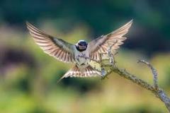 Daniel Jesus Martínez Gutierrez