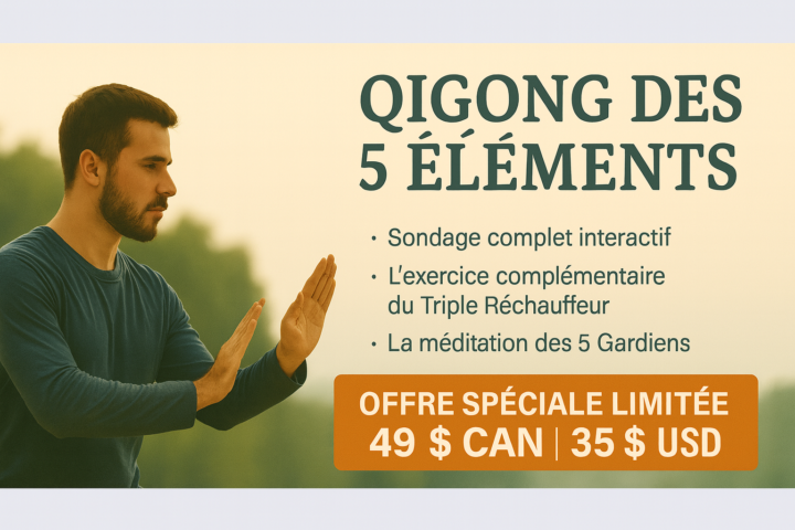 🖤 Offre Black Friday – Accès à vie au Qigong des 5 Éléments