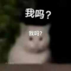 Luo Zaixing