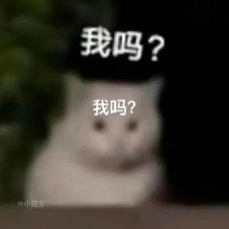Luo Zaixing
