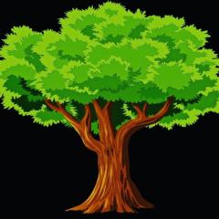 Baum with Wings