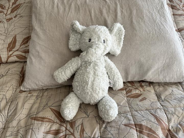 This is Ernie. Some day he will be my child's first toy.
