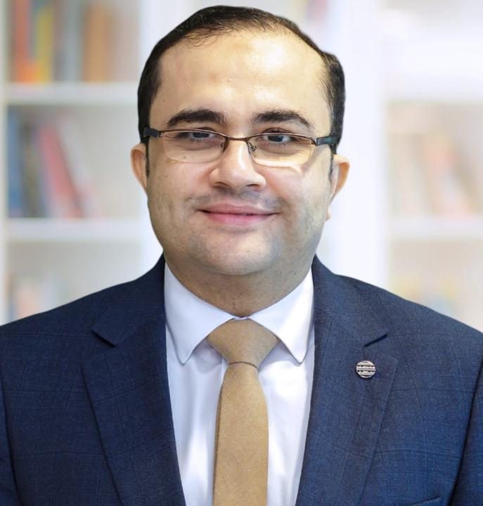 Mohammed M Kamal