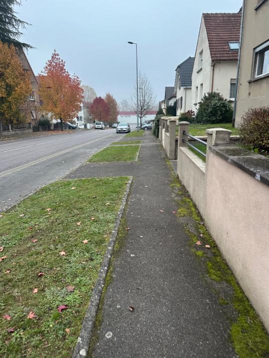 Ahssen Mohamed amine