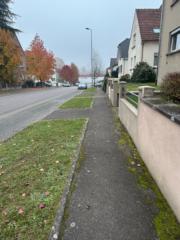 Ahssen Mohamed amine