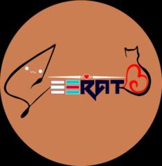 Seerat Munir