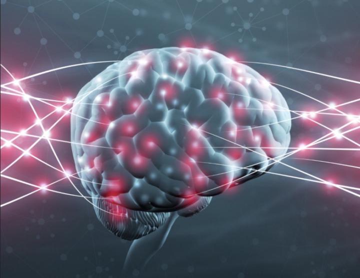 Announcing: Release the Weight That Holds You Back - A Bootcamp for your Brain!